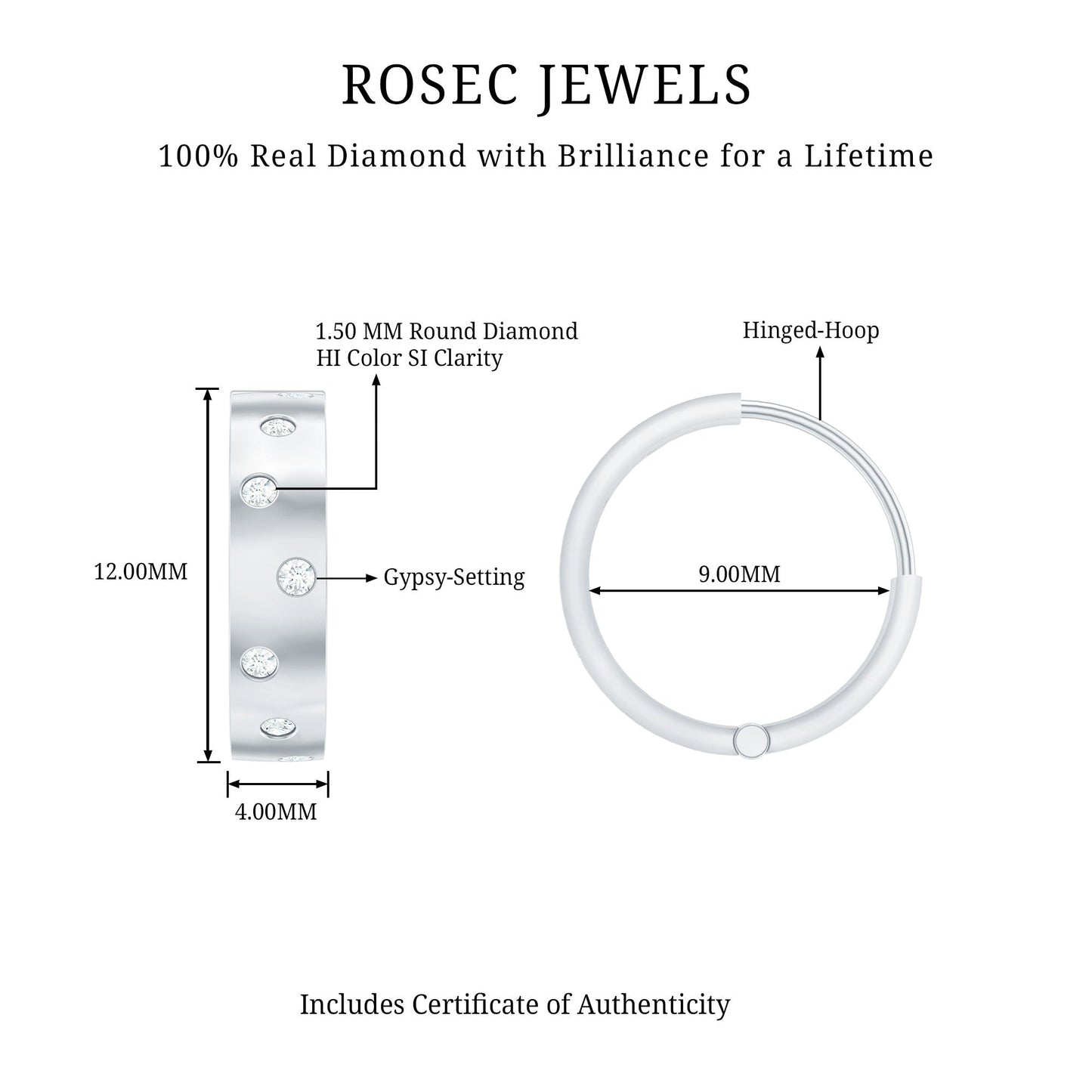 Flush Set Diamond Hoop Earrings For Women