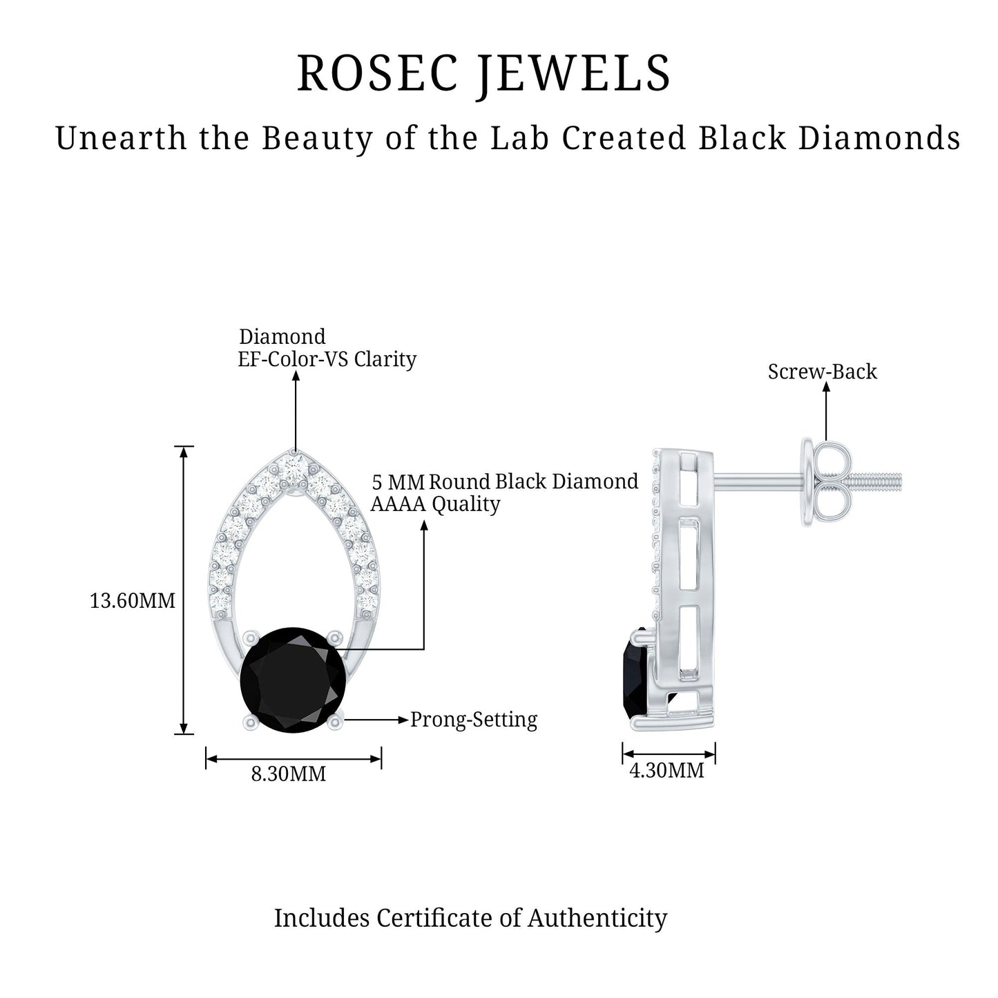 Lab Grown Black Diamond Minimalist Stud Earrings With Screw Back