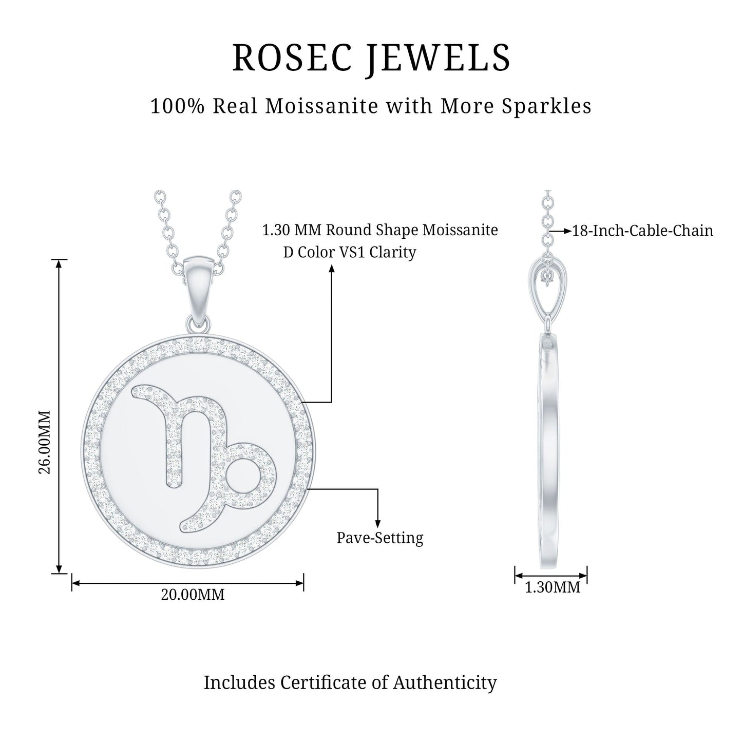 Certified Moissanite Disc Capricorn Zodiac Pendant