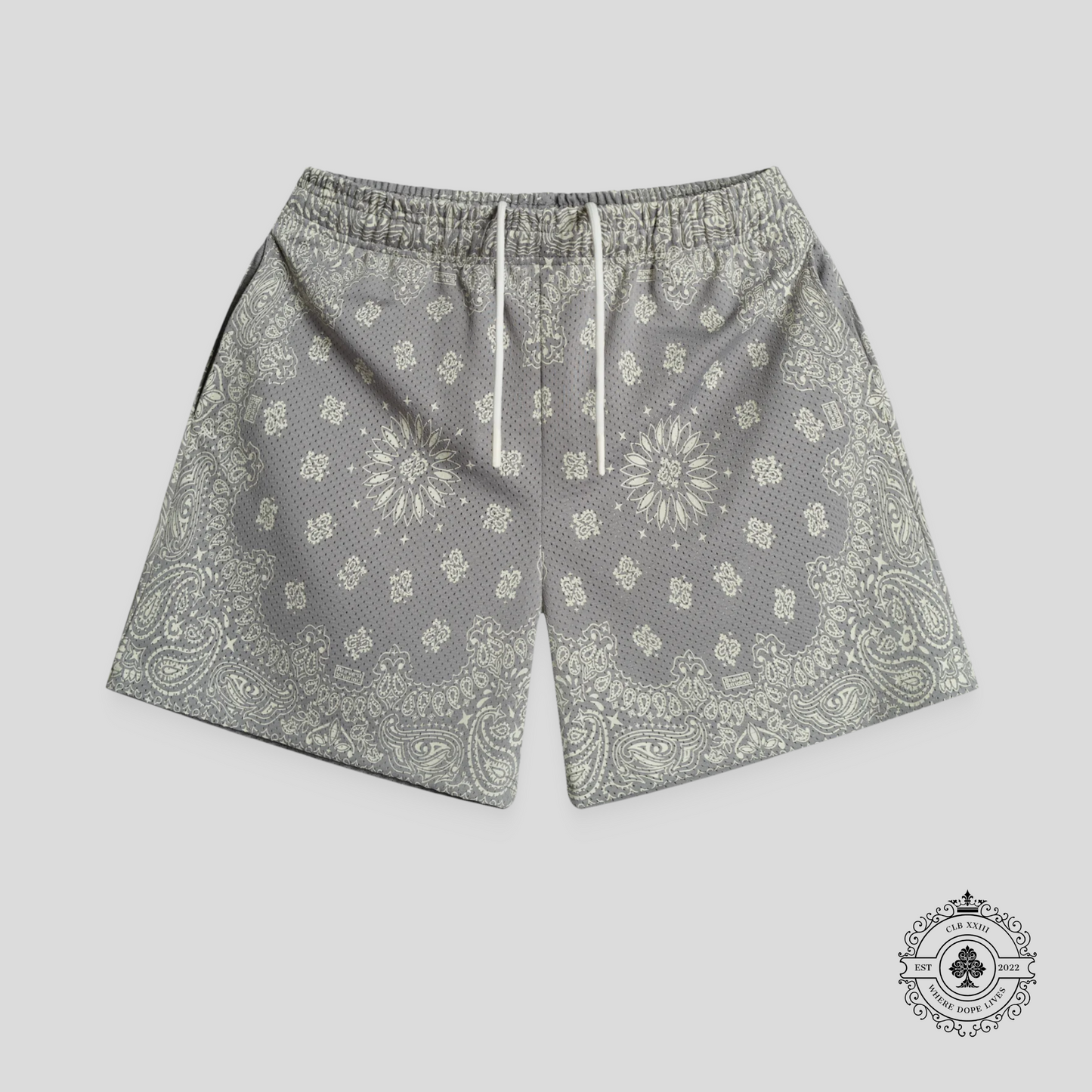 Bravest Studios Concrete Paisley Shorts in Grey