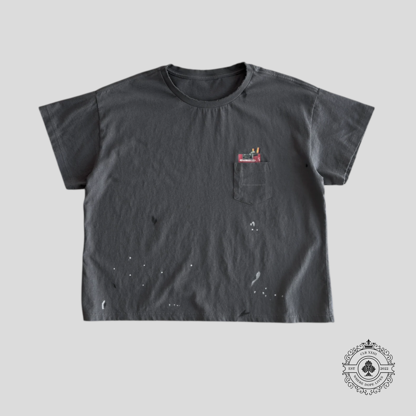 Bravest Studios Smoker Vintage Tee in Grey