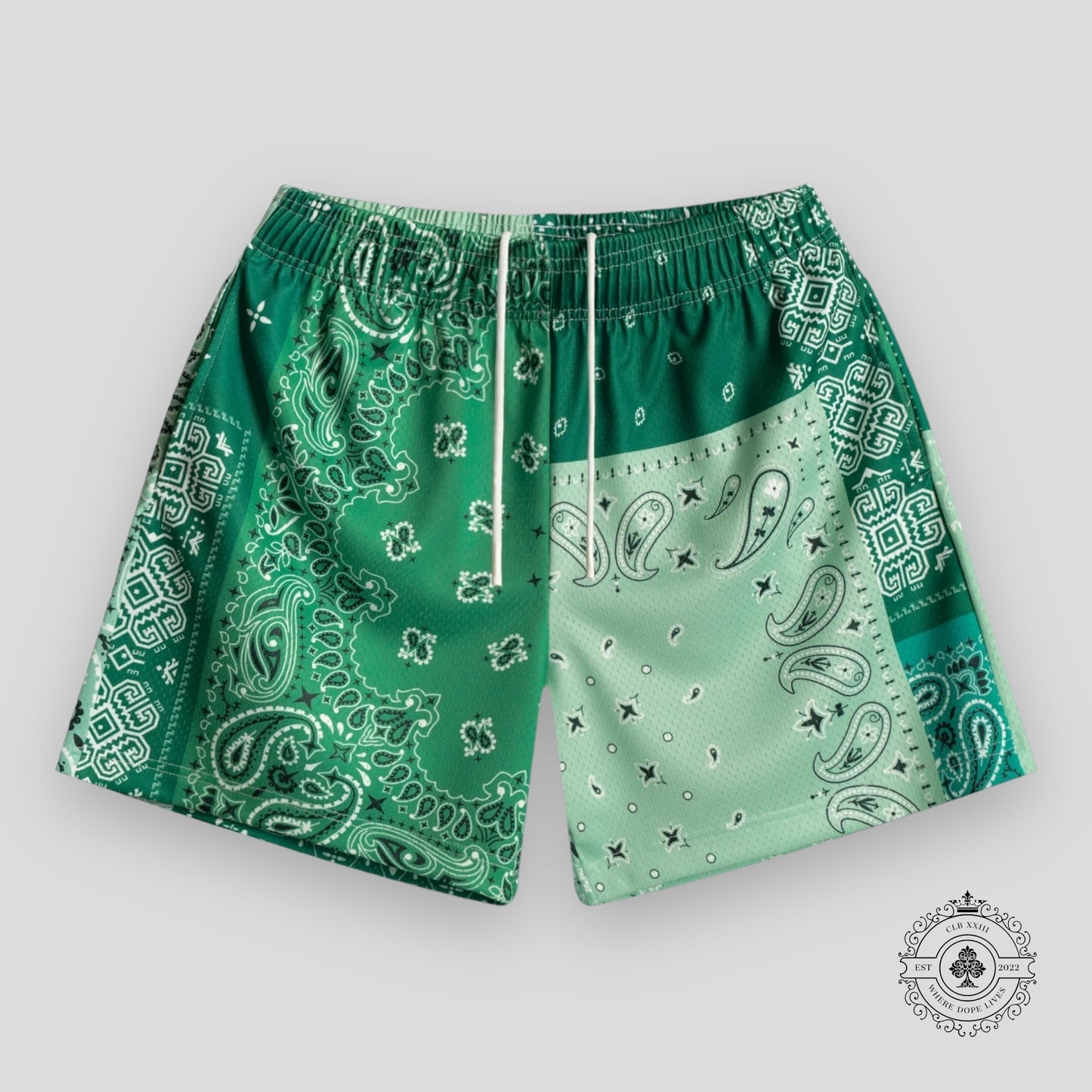 Bravest Studios Patchwork Paisley in Green