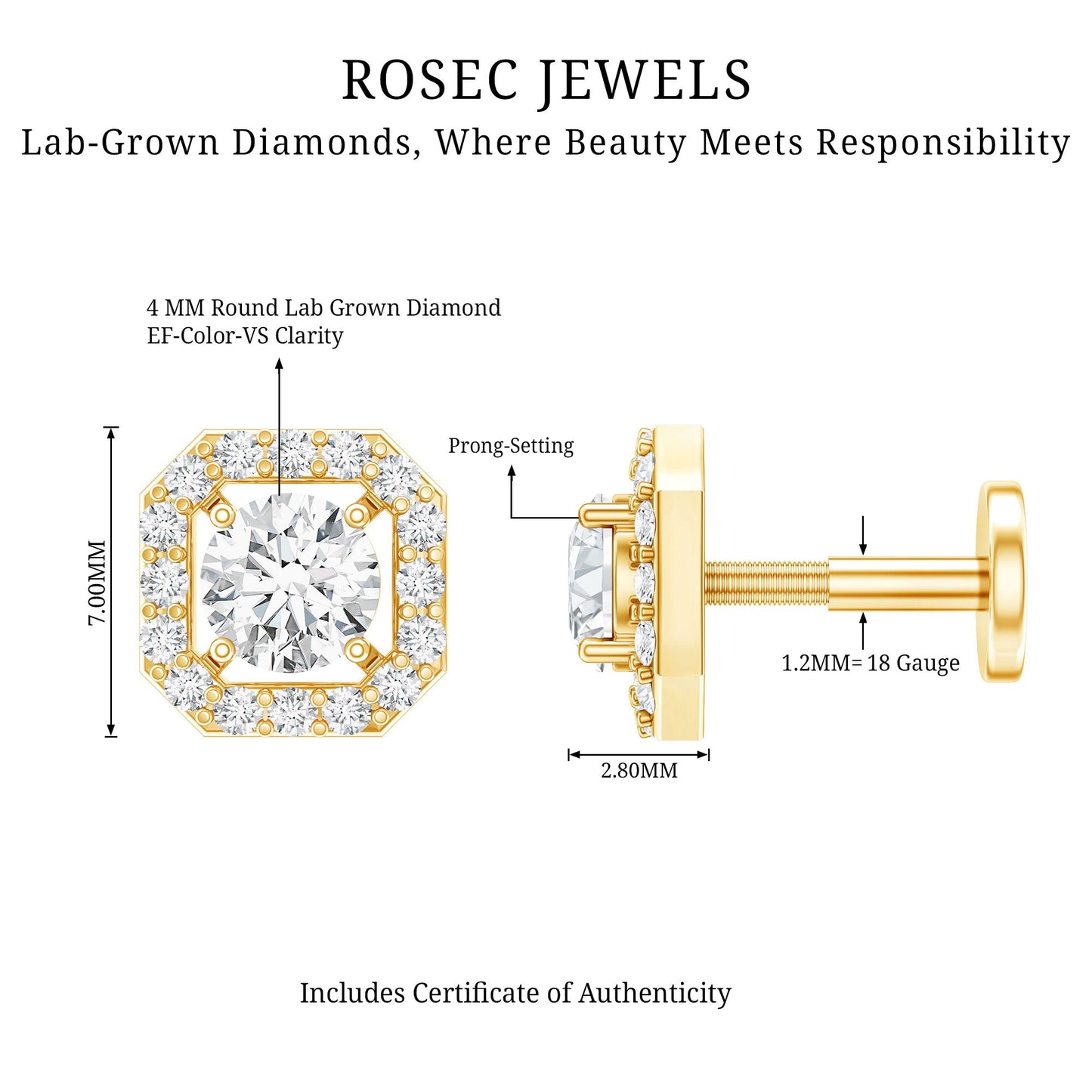 Simple Octagon Shape Diamond Helix Earring