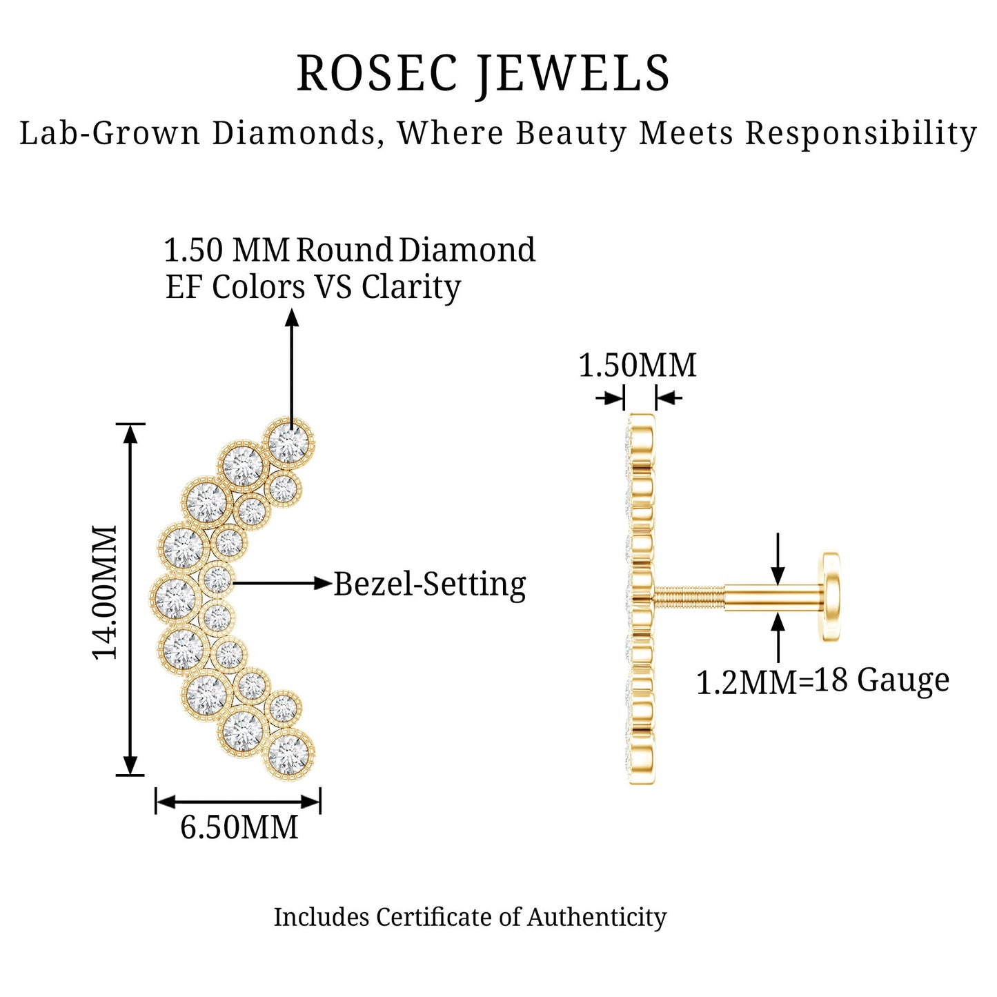 Diamond Curved Crawler Earring in Bezel Set
