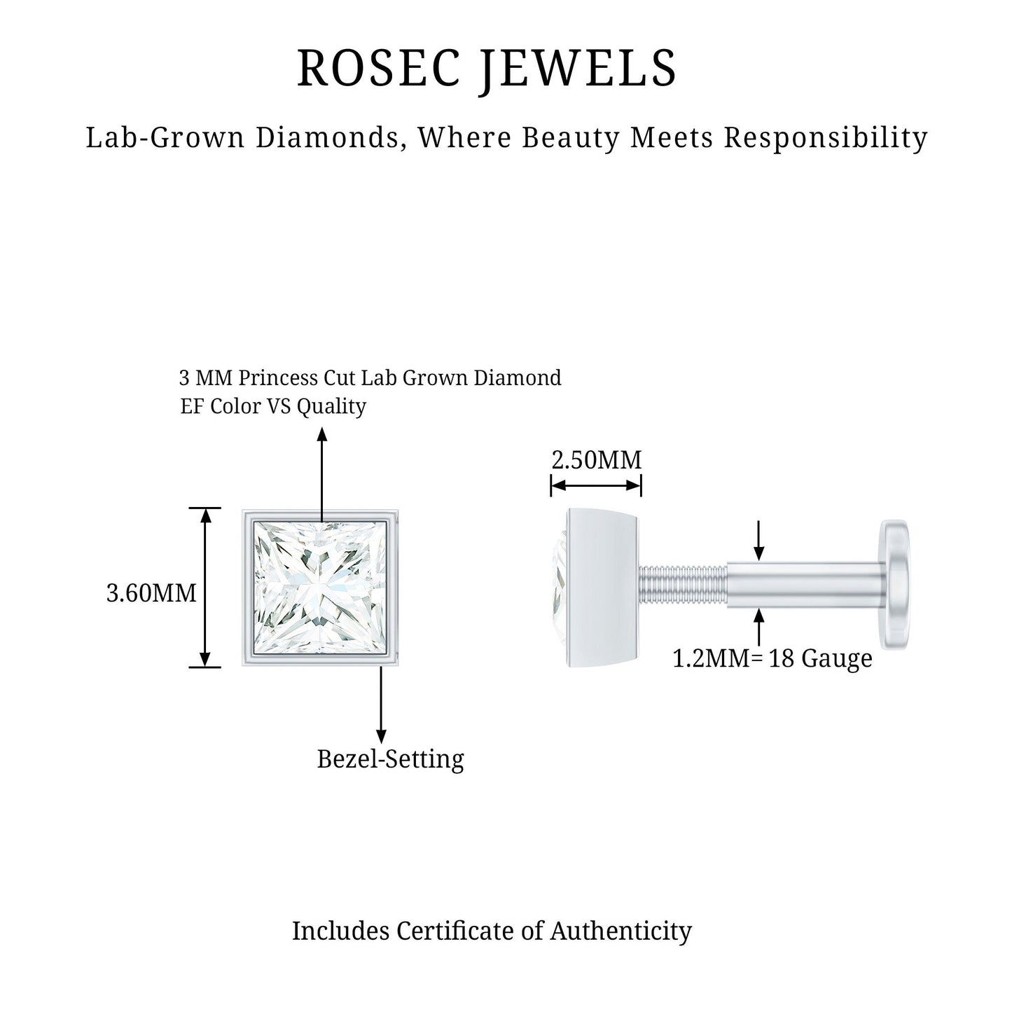 Princess Cut Diamond Conch Earring in Bezel Setting