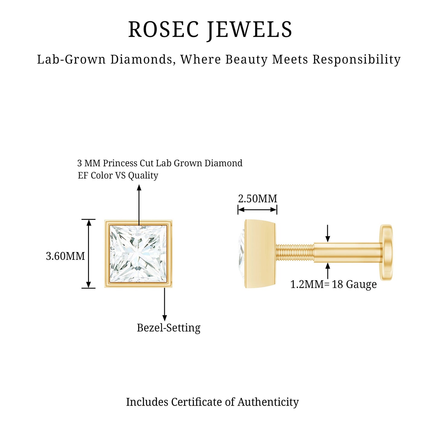 Princess Cut Diamond Conch Earring in Bezel Setting