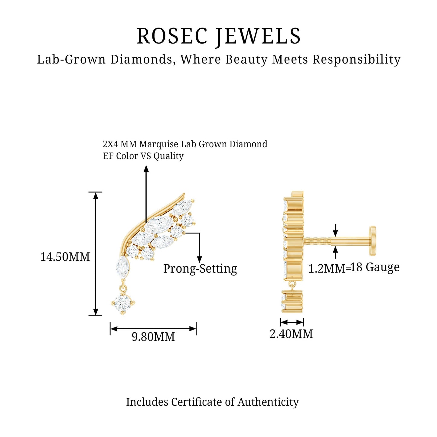 Brilliant Cut Diamond Wing Helix Drop Earring with Flat Back