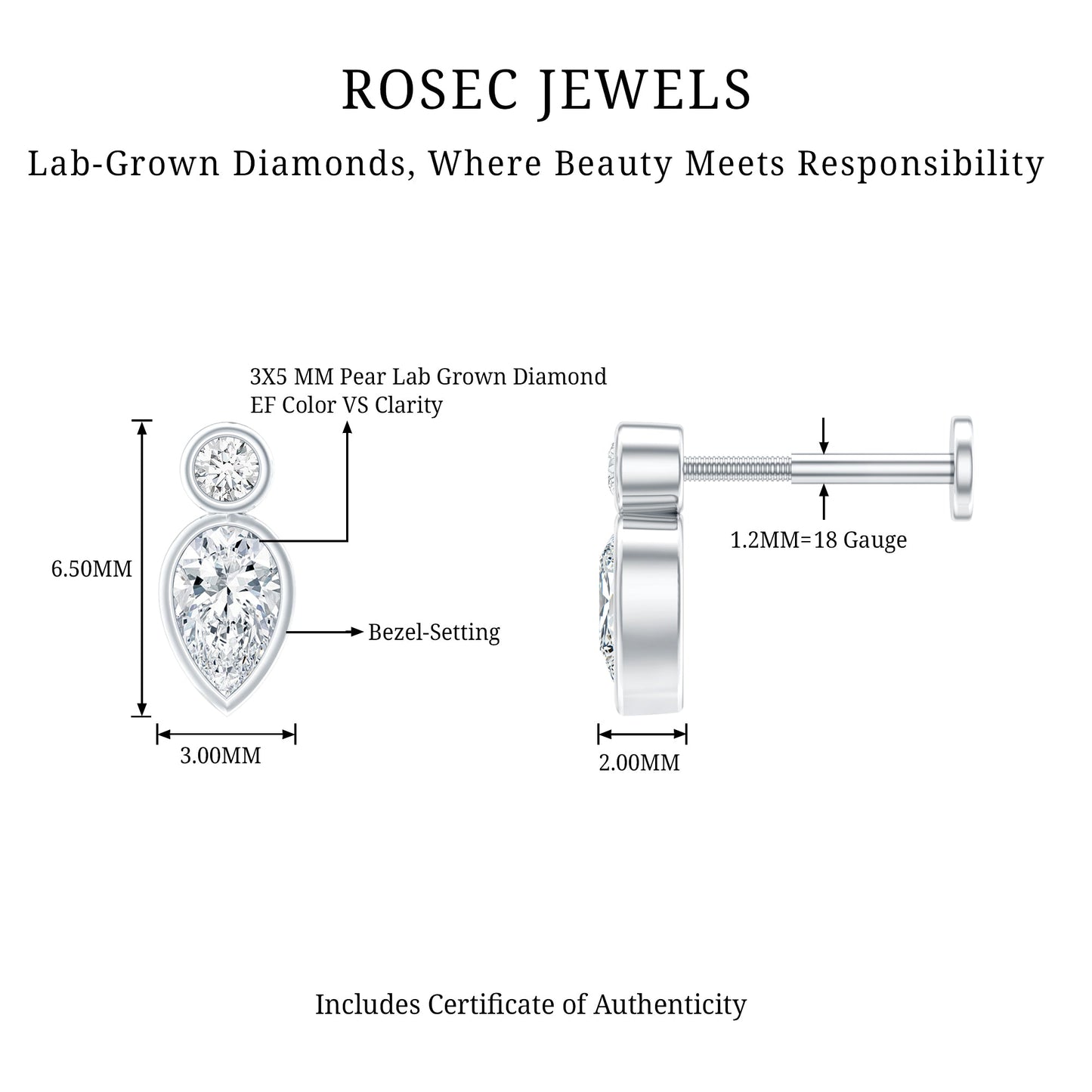 Pear Shape Diamond Two Stone Helix Earring
