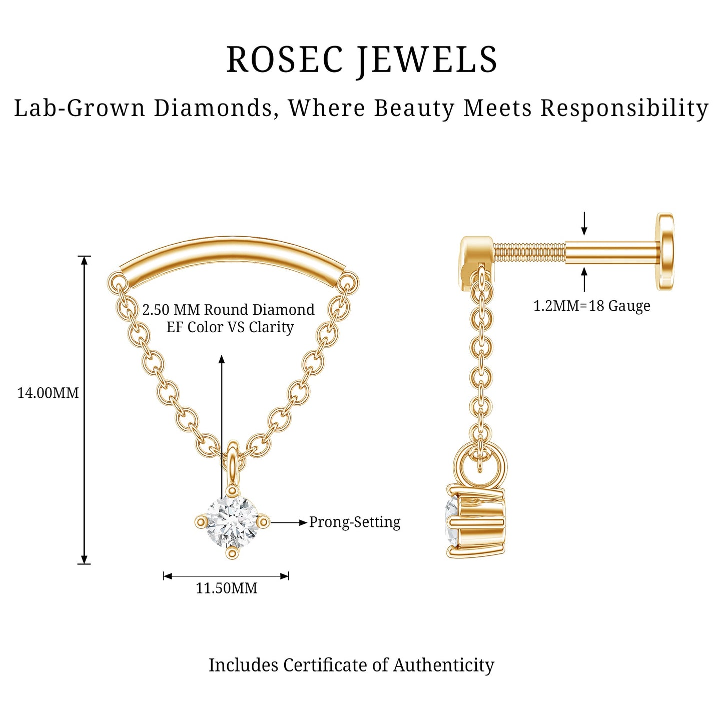 Single Diamond Hidden Helix Earring with Chain