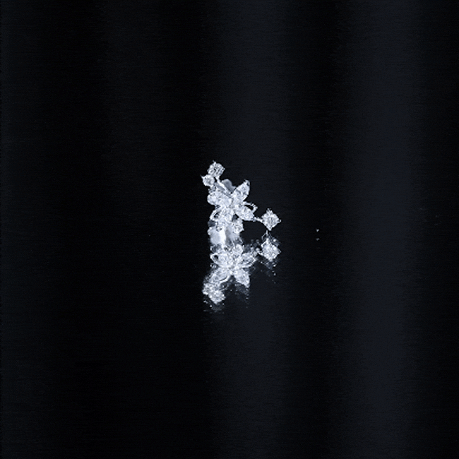 Diamond Flower Crawler Earring