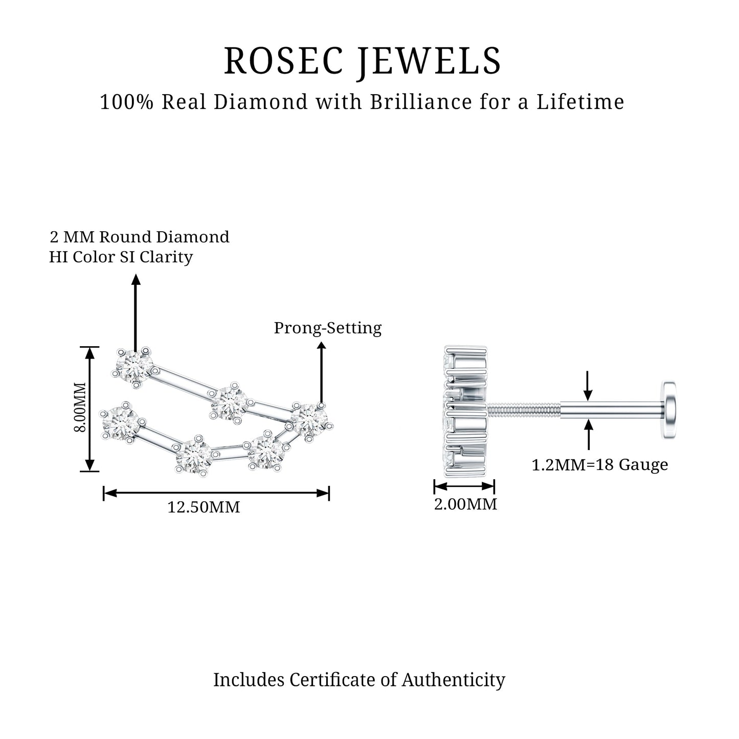 Diamond Capricorn Constellation Helix Piercing Earring