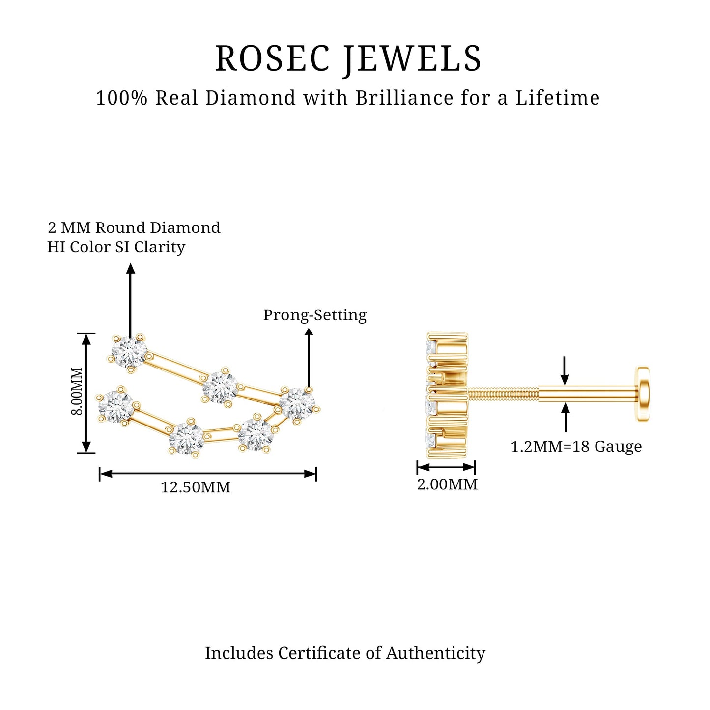 Diamond Capricorn Constellation Helix Piercing Earring