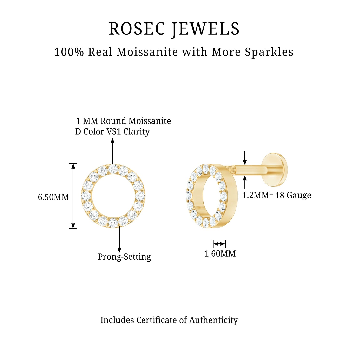 Minimal Moissanite Circle Helix Earring for Women