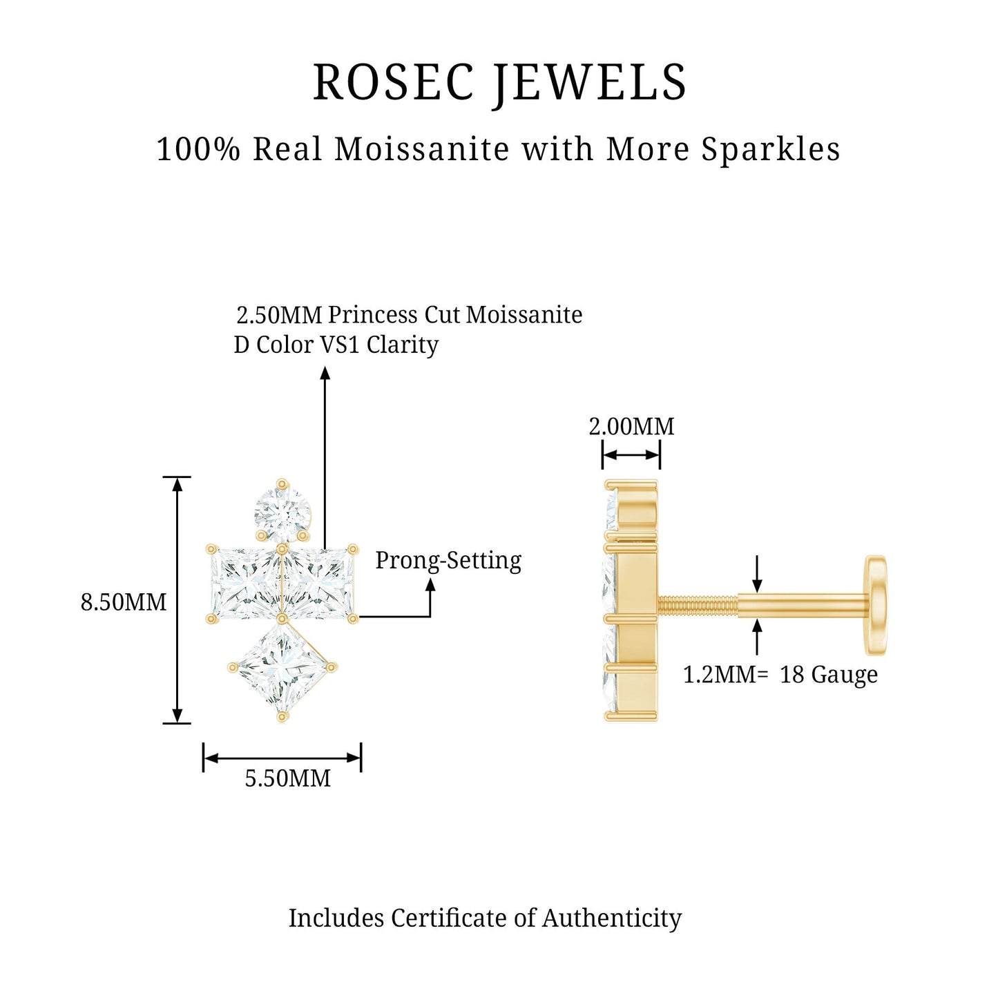 Round and Princess Cut Moissanite Cluster Helix Earring