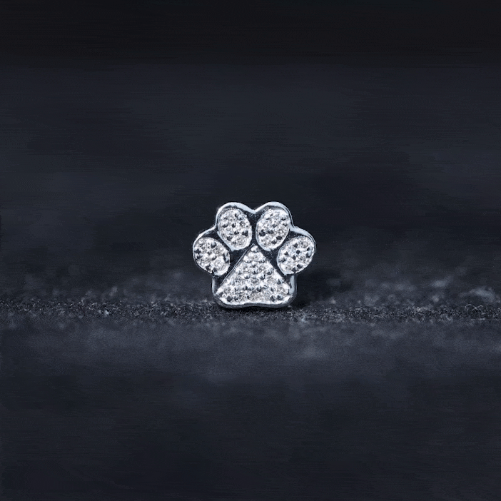 Moissanite Dog Paw Print Earring for Cartilage Piercing