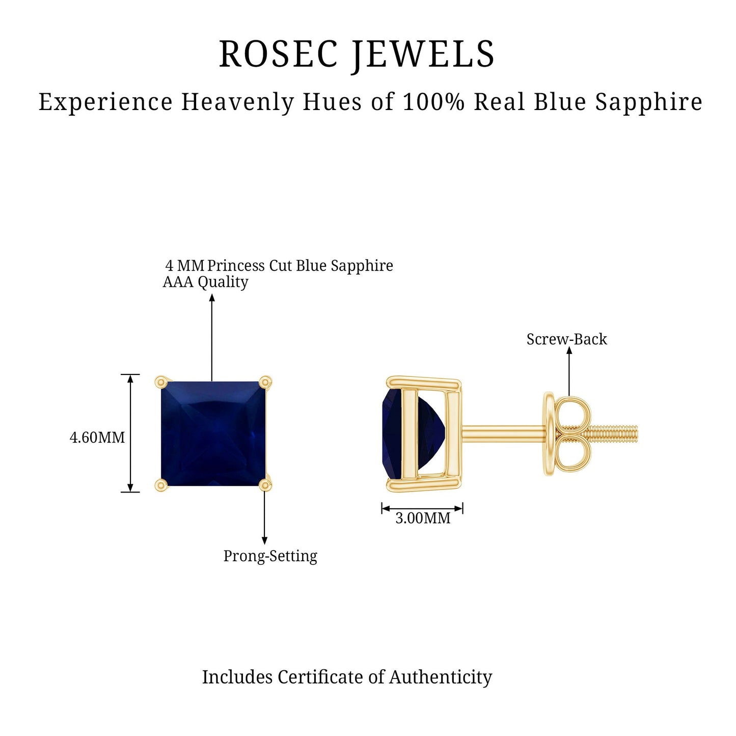 0.9 Carat Solitaire Blue Sapphire Princess Cut Stud Earrings