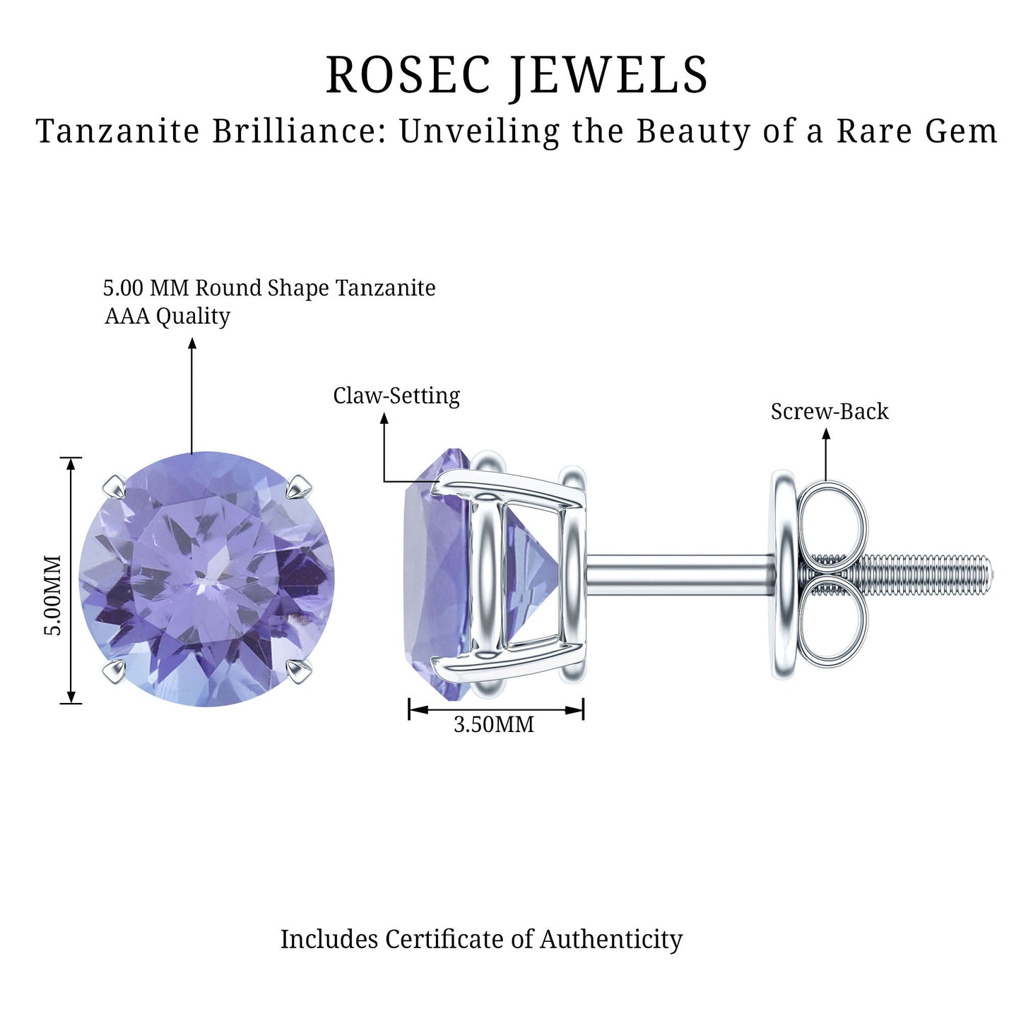 1 Carat Round Cut Tanzanite Stud Earrings for Women