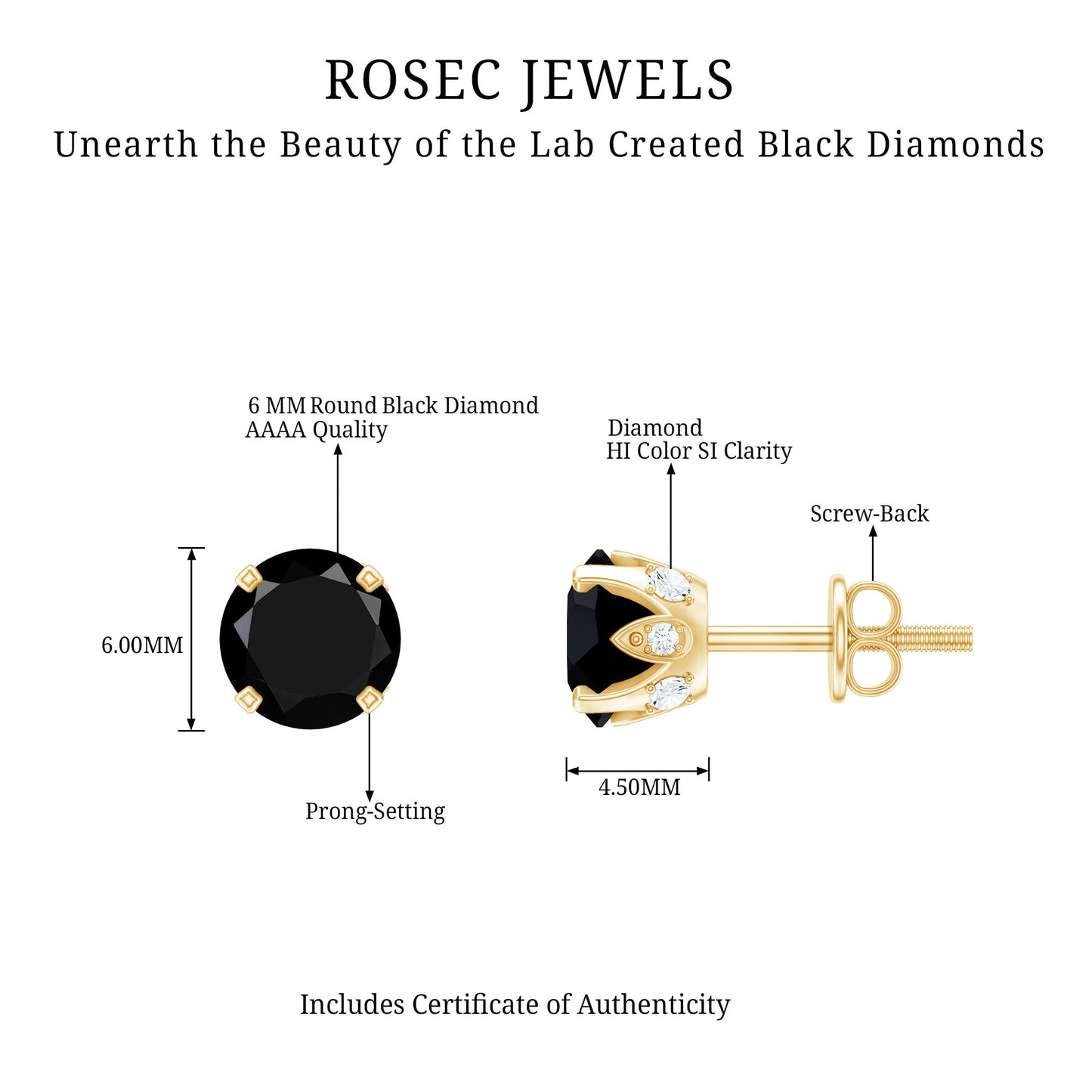 2.6 Carat Lab Created Black Diamond Stud Earrings with White Diamond