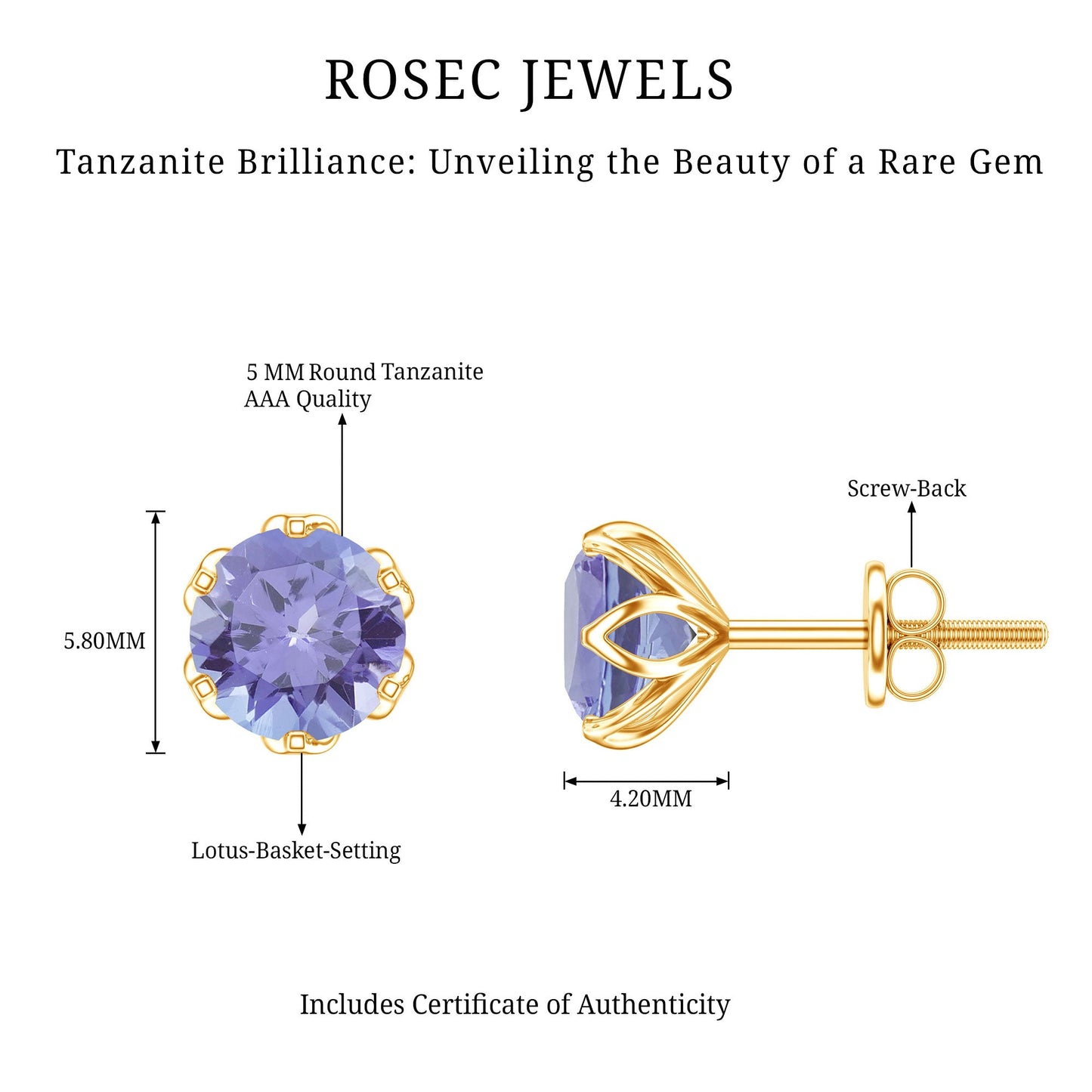 1 Carat Round Cut Tanzanite Solitaire Stud Earrings for Women