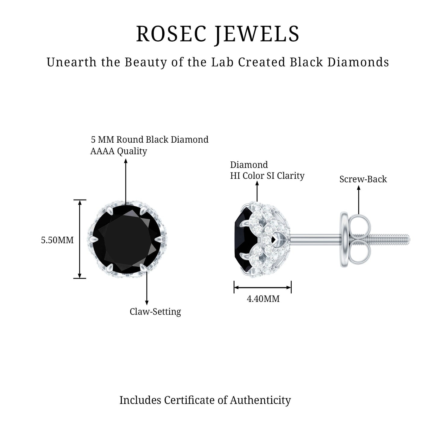 Lab Created Black Diamond Stud Earrings with White Diamonds
