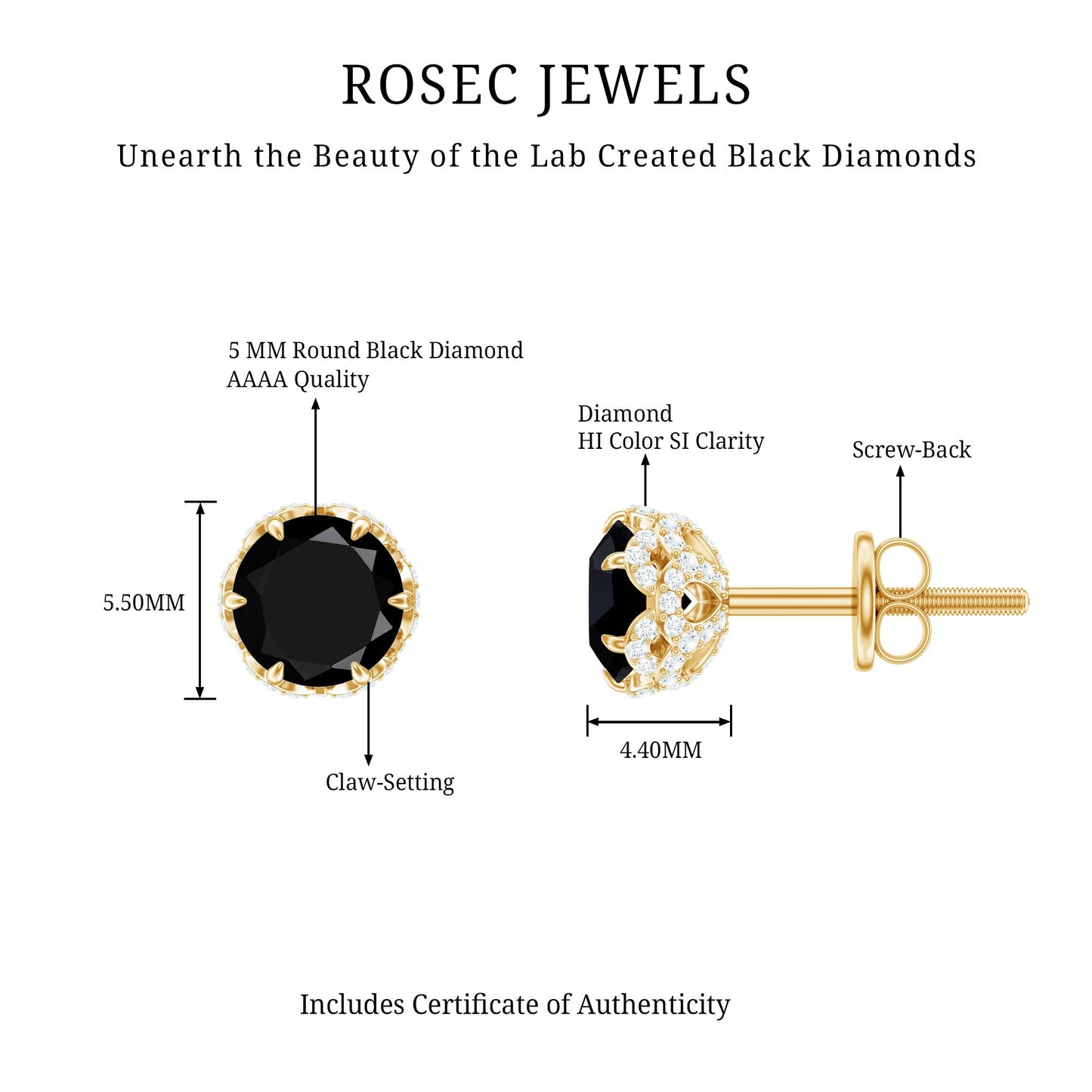 Lab Created Black Diamond Stud Earrings with White Diamonds