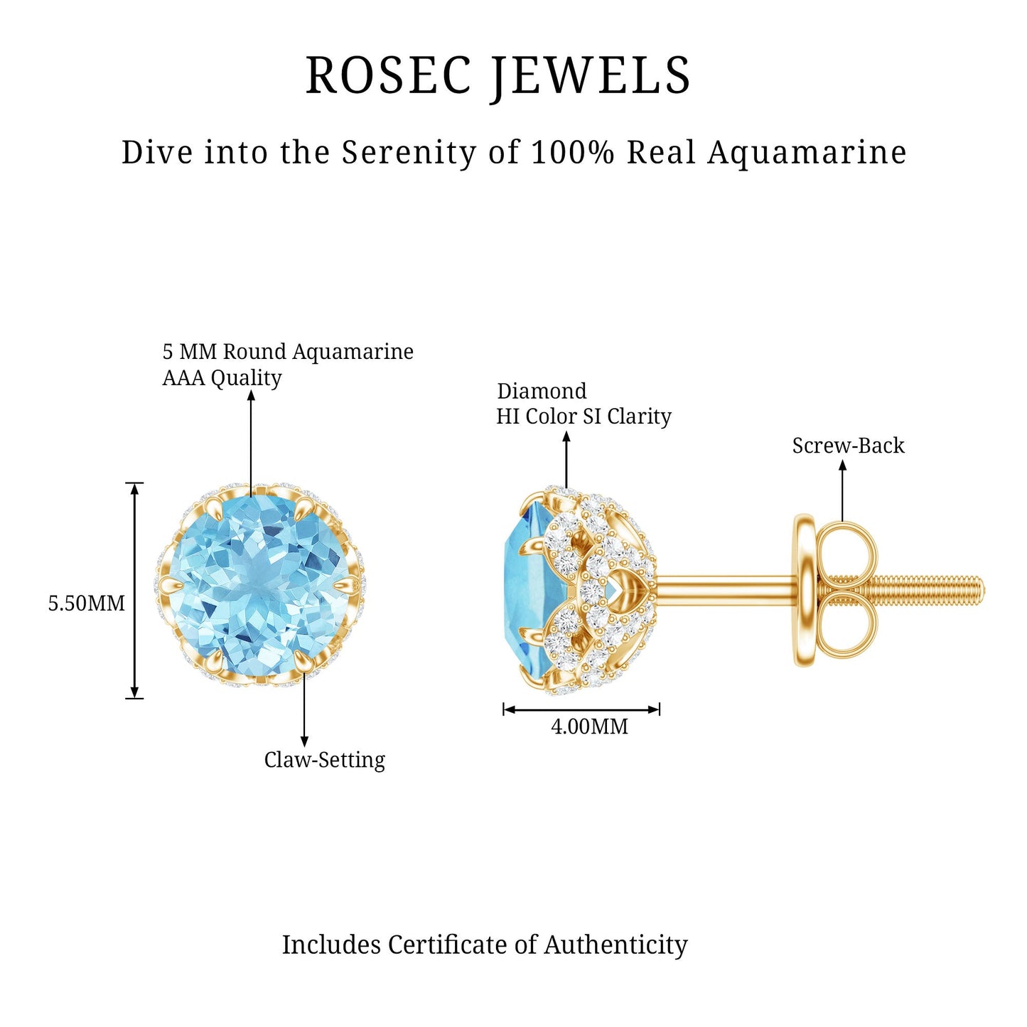 Natural Aquamarine Diamond Floral Stud Earrings with Screw Back