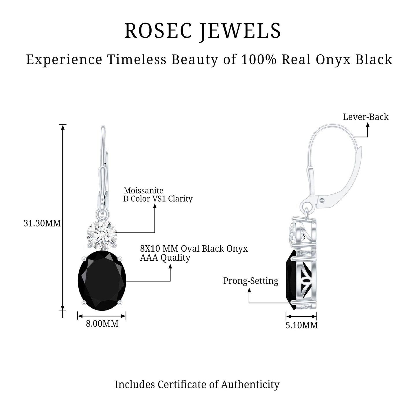 Natural 5 Carat Oval Black Onyx Drop Earrings with Lever Back