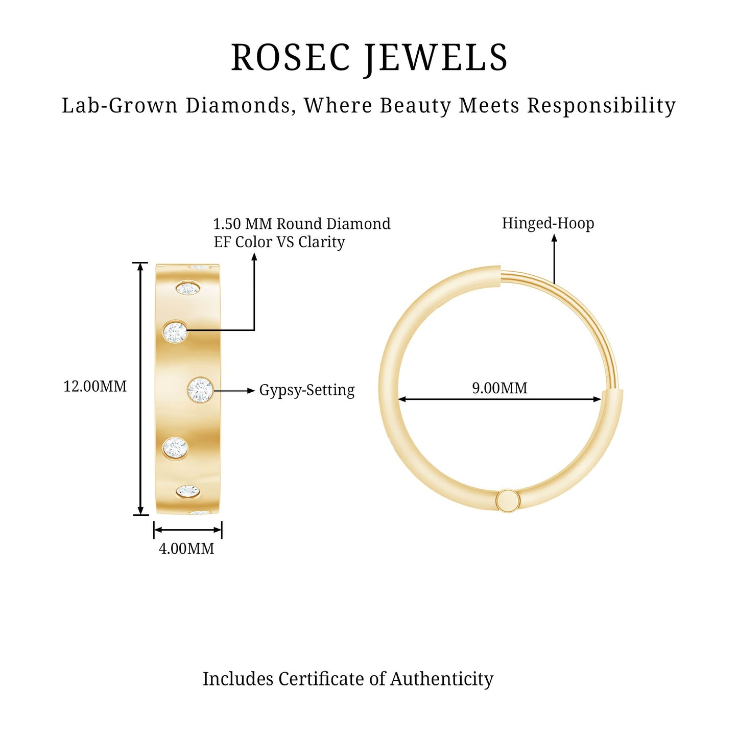Flush Set Diamond Hoop Earrings For Women