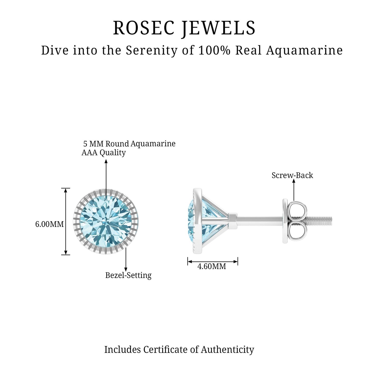 1.6 Carat Round Cut Aquamarine Martini Stud Earring
