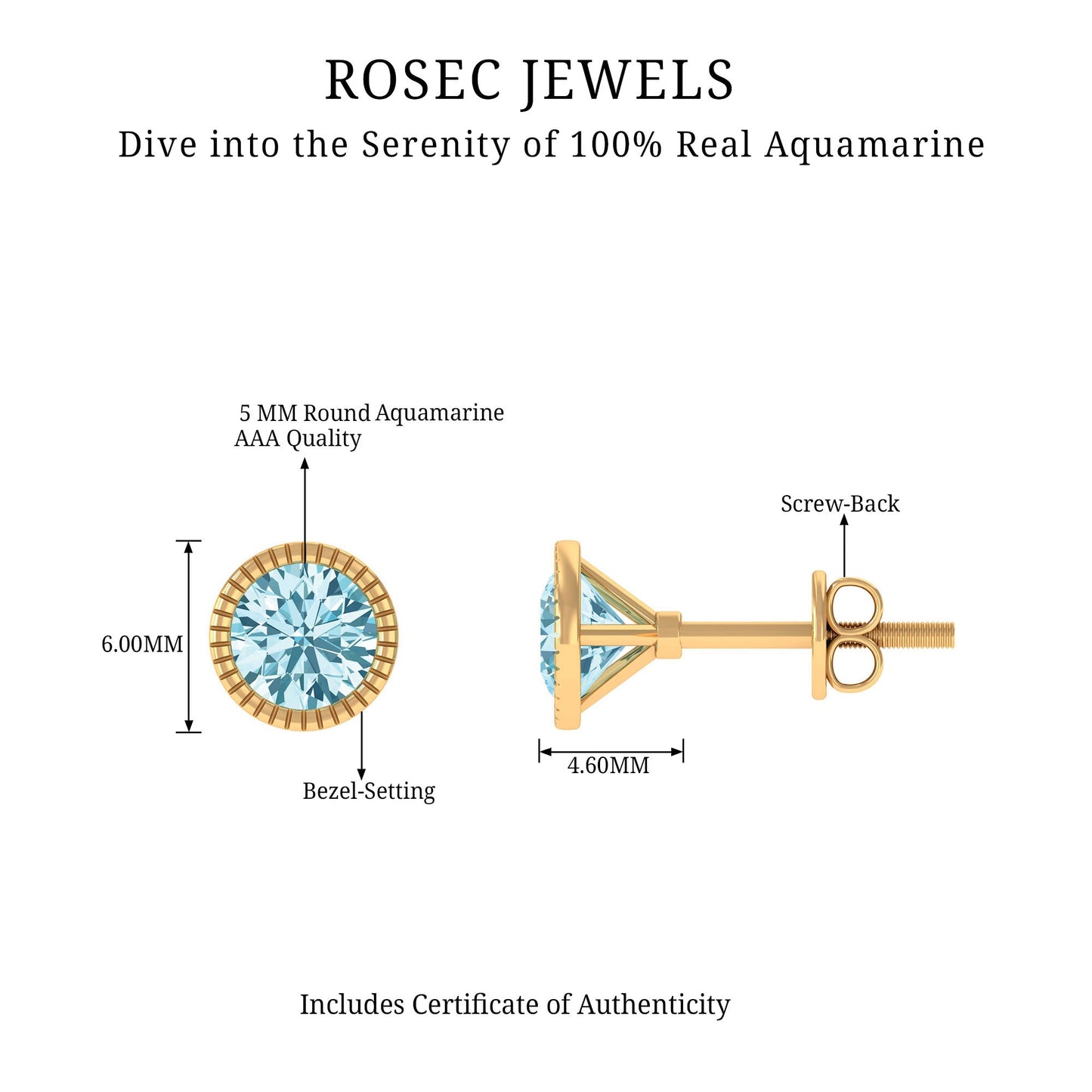 1.6 Carat Round Cut Aquamarine Martini Stud Earring