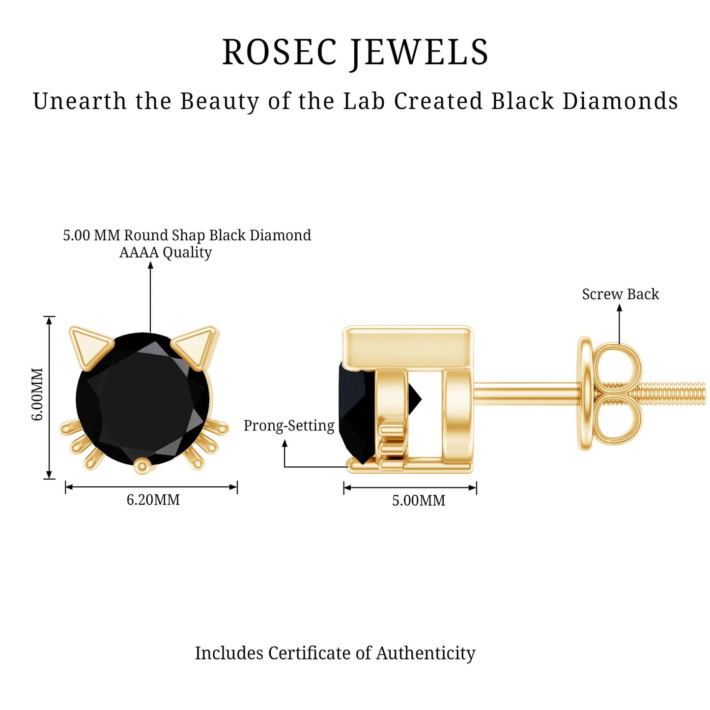 5MM Round Lab Created Black Diamond Cat Stud Earrings
