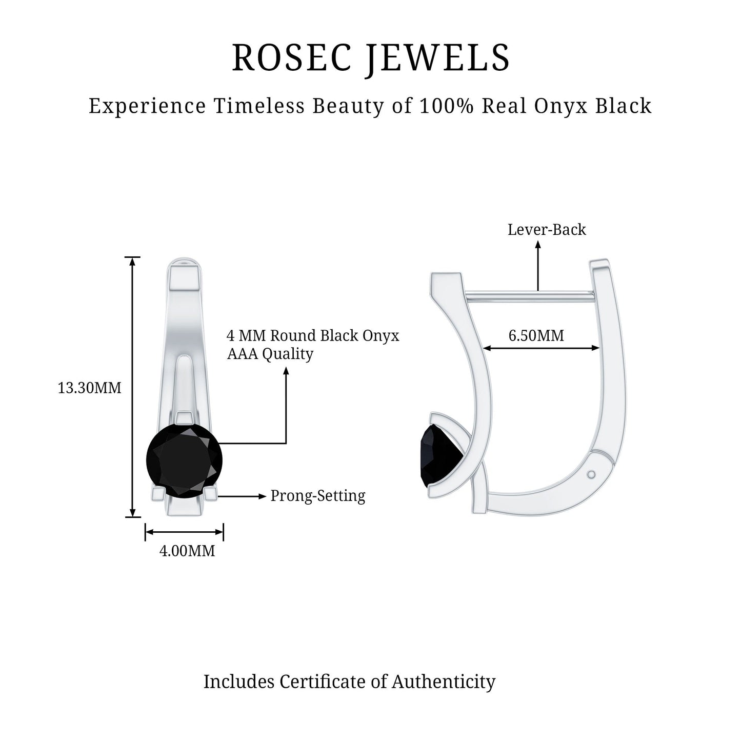 Natural Black Onyx J Hoop Earrings with Latch Back