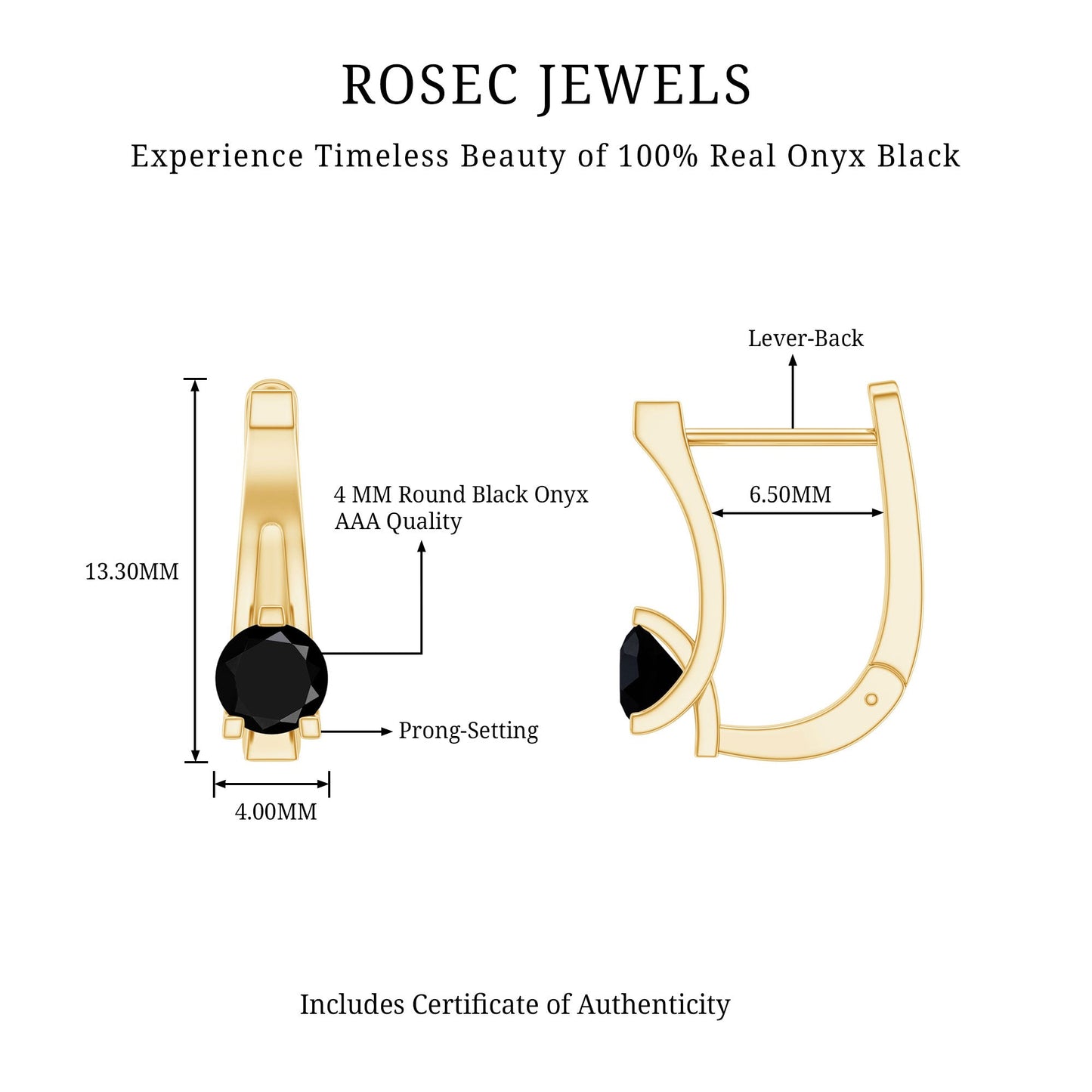 Natural Black Onyx J Hoop Earrings with Latch Back