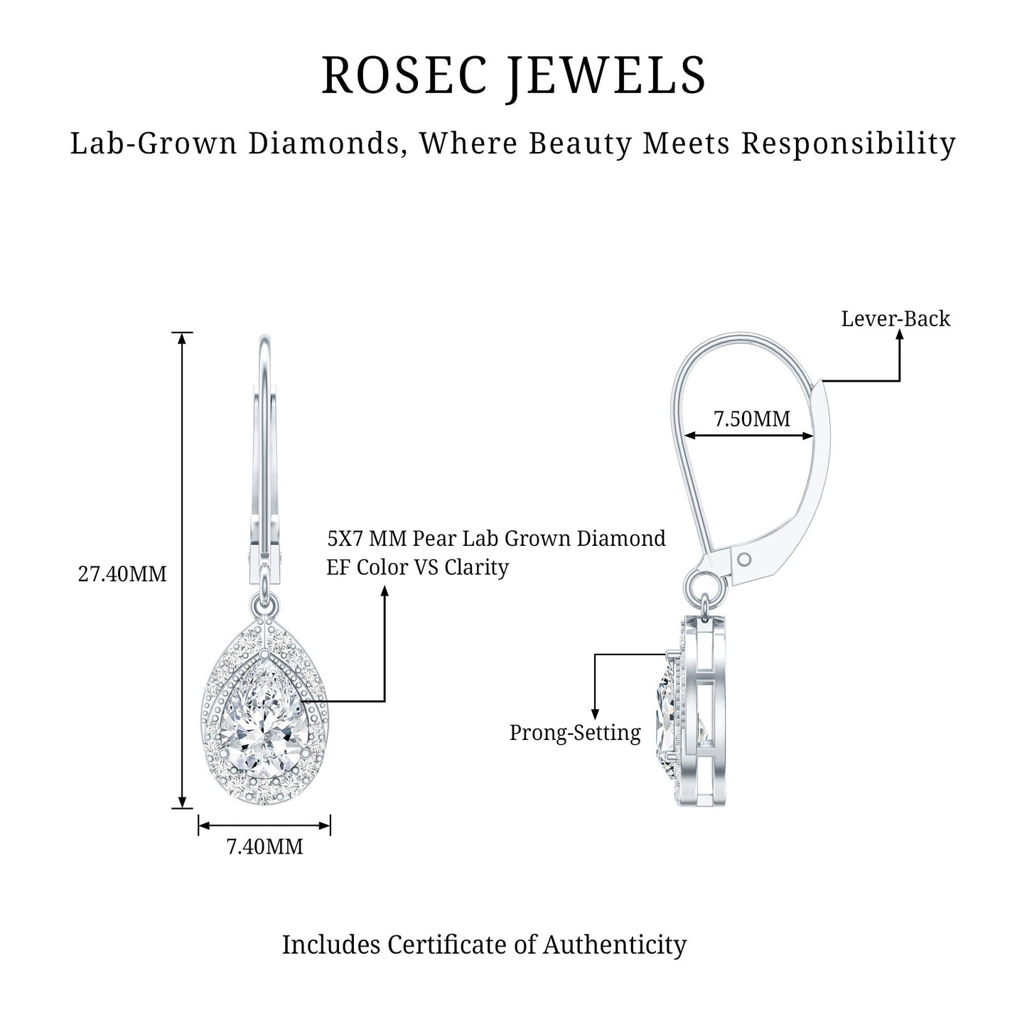 Lab Grown Diamond Drop Dangle Earrings With Lever Back