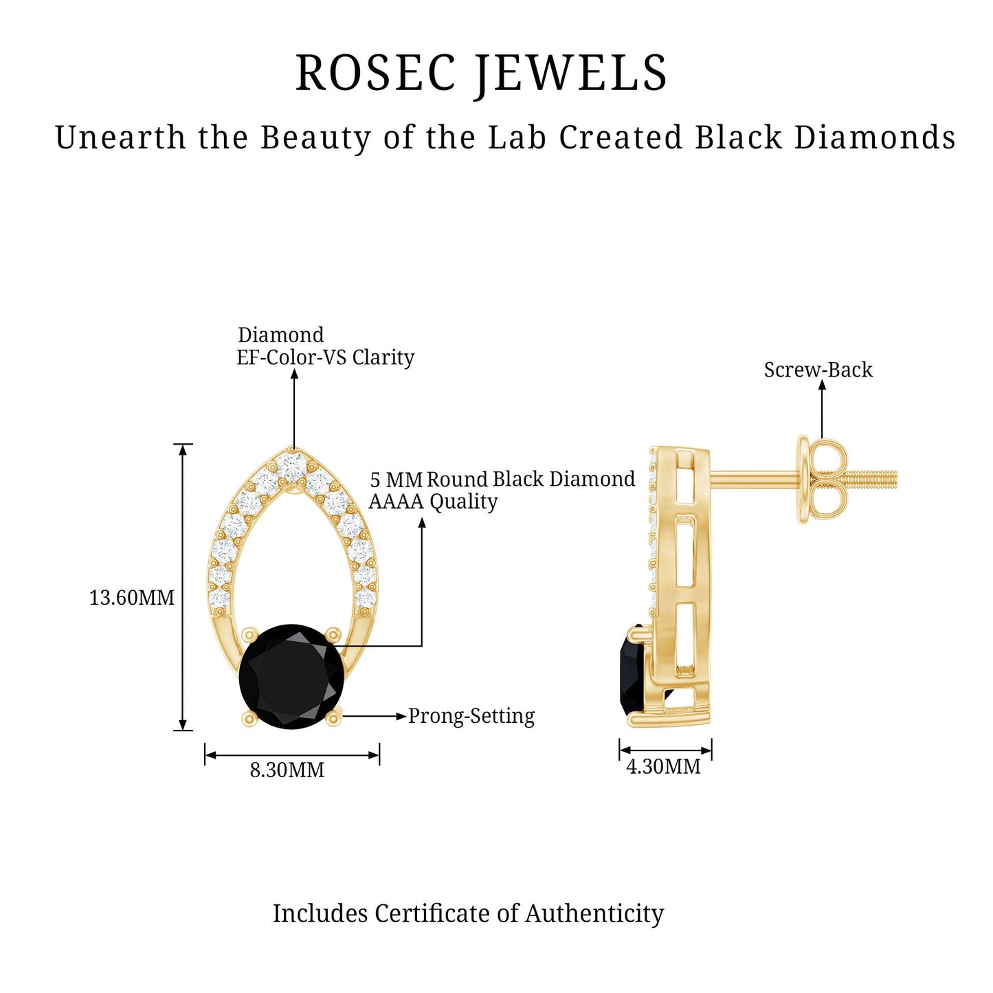 Lab Grown Black Diamond Minimalist Stud Earrings With Screw Back