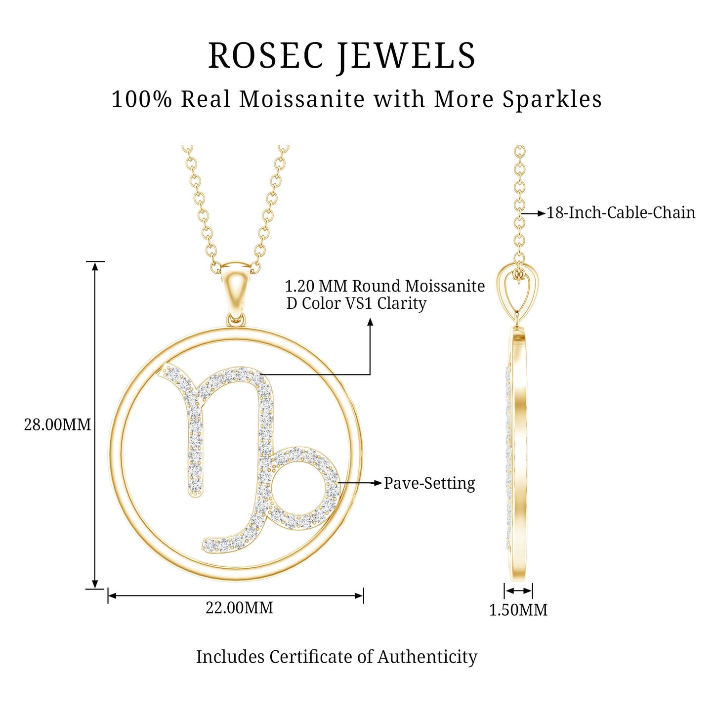 Certified Moissanite Capricorn Zodiac Necklace