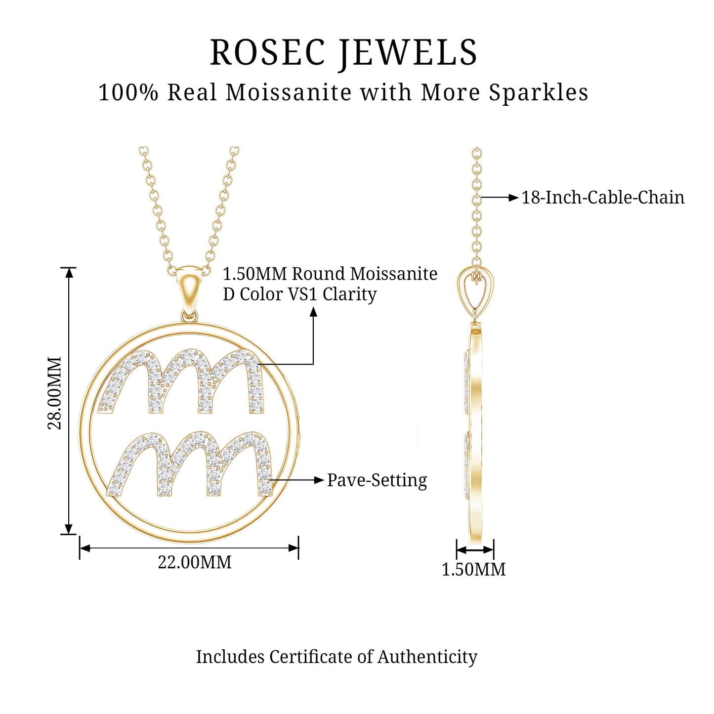 Certified Moissanite Zodiac Aquarius Pendant Necklace