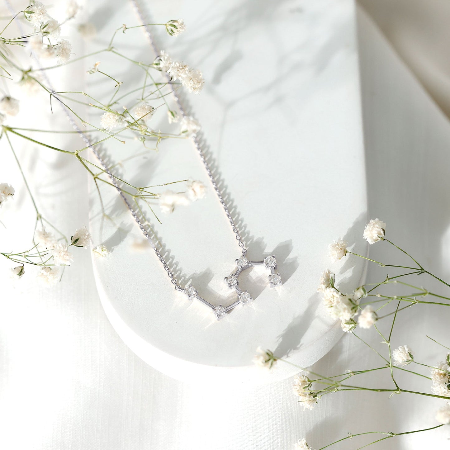 Moissanite Constellation Leo Zodiac Sign Necklace