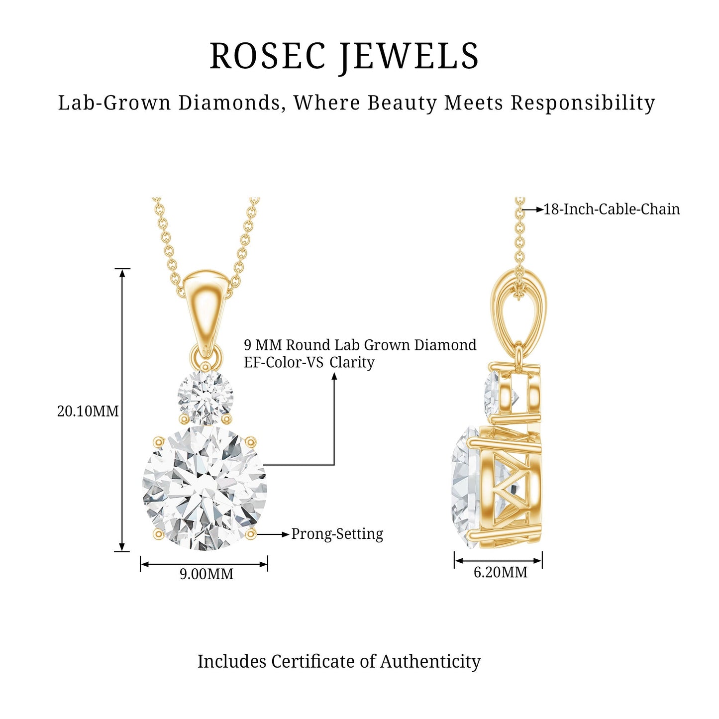 Brilliant Cut Moissanite Two Stone Necklace With Chain