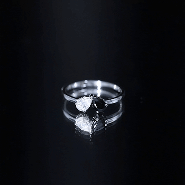 Lab Created Black and White Diamond 2 Stone Ring