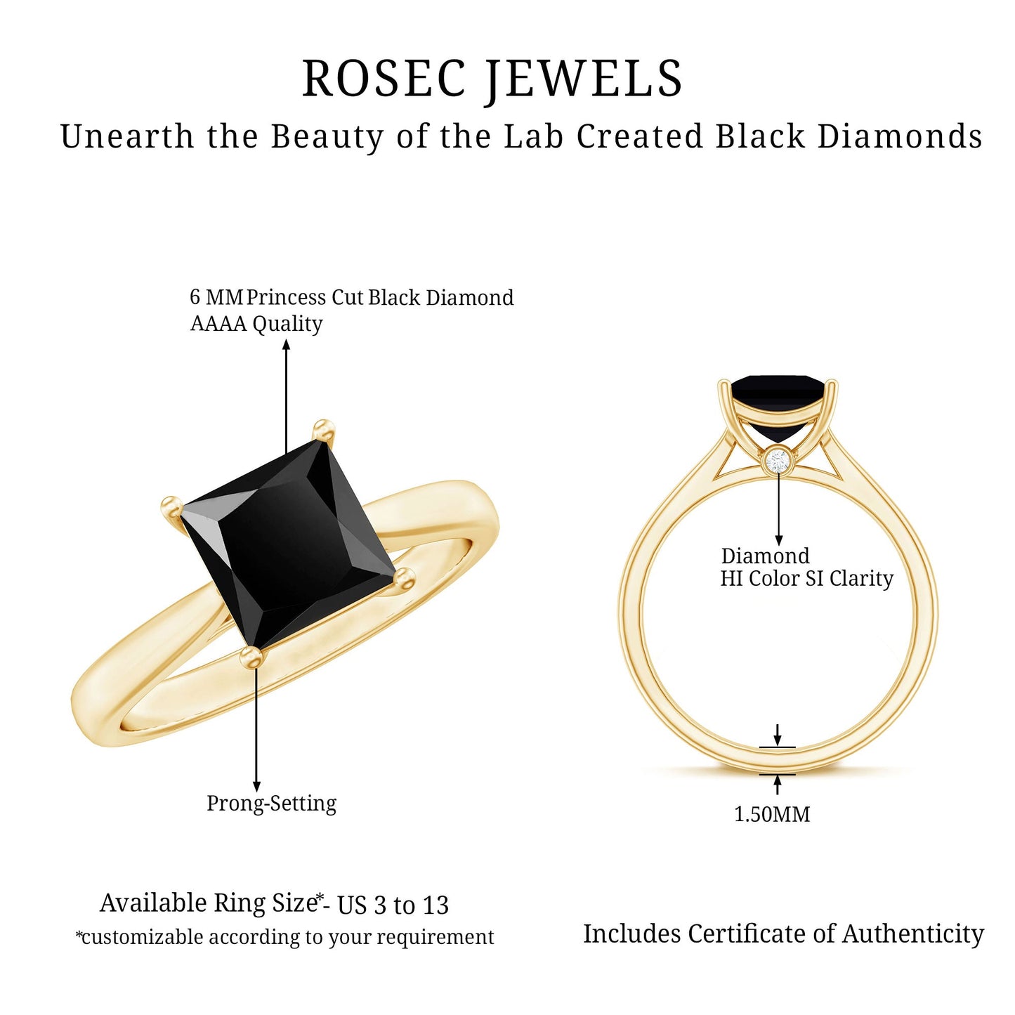 1 Carat Princess Cut Lab Grown Black Diamond Engagement Ring with Surprise White Diamond