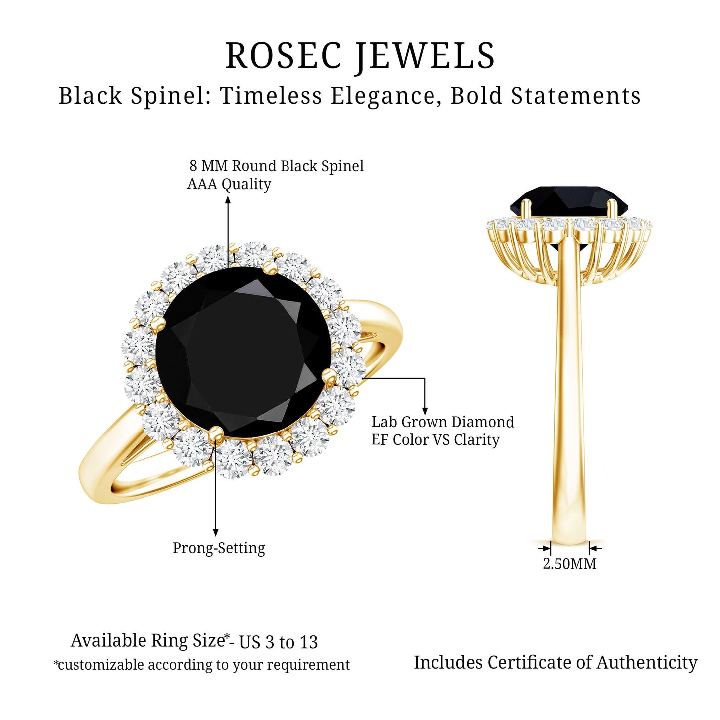 Natural 2.6 Carat Black Spinel Engagement Ring with Diamond Halo
