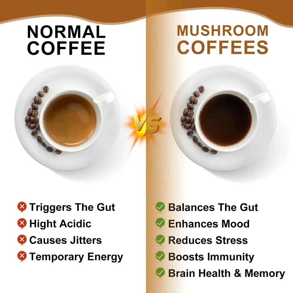 Mushroom Coffee - 10 Mushroom Extract Blend for Energy & Immunity