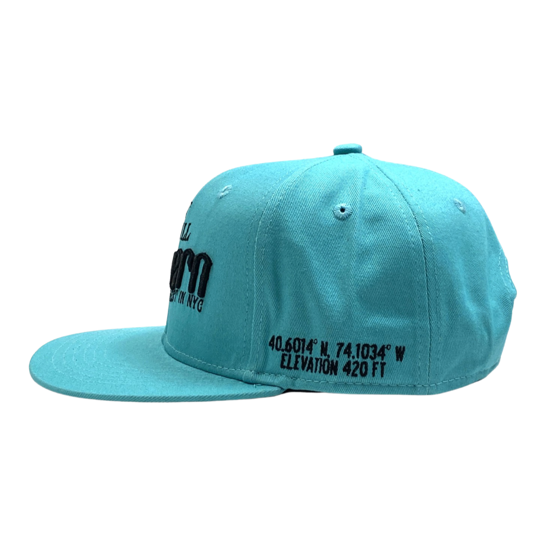Highest In NYC - Teal Snapback
